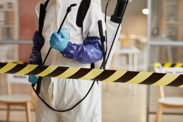 Professional Sewage Cleanup technician working in Harrison, ID